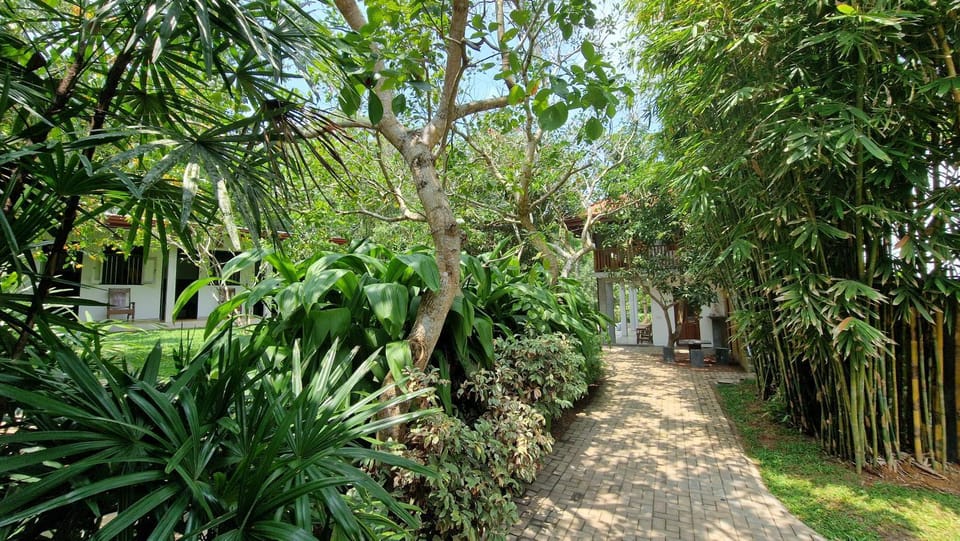 Natural landscape, Garden