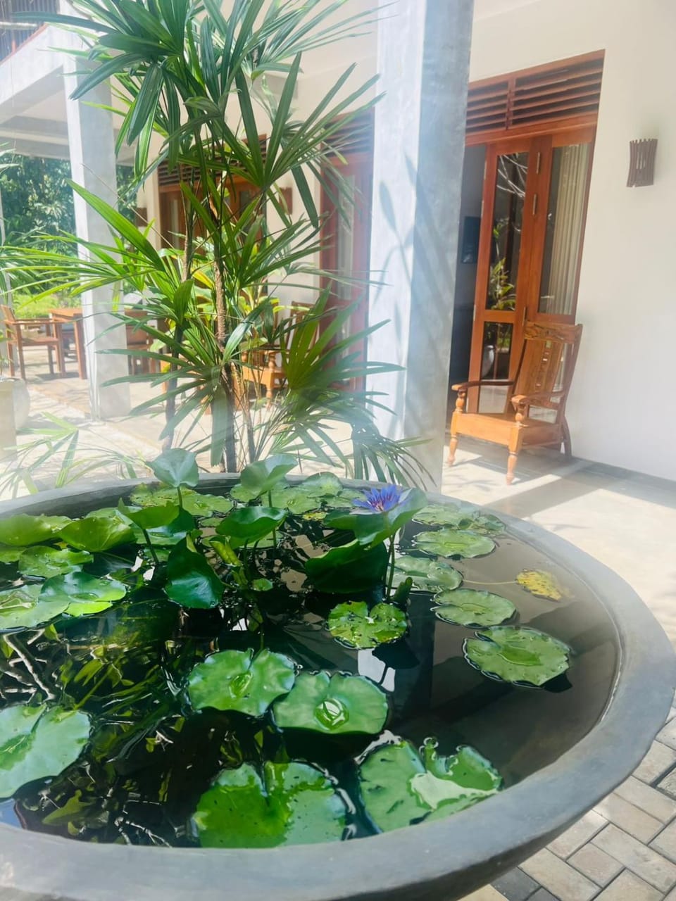 Villa Arana Bentota Bed and Breakfast in Western Province