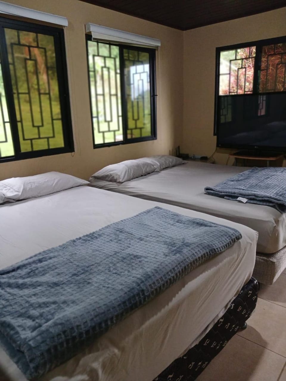 Bed, TV and multimedia, Bedroom