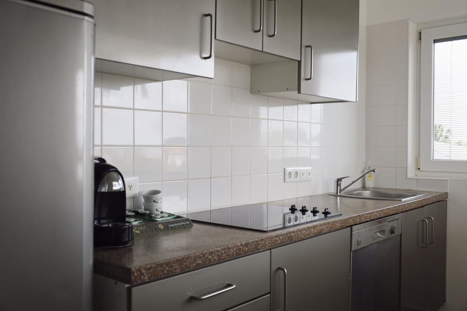 Kitchen or kitchenette, dishwasher