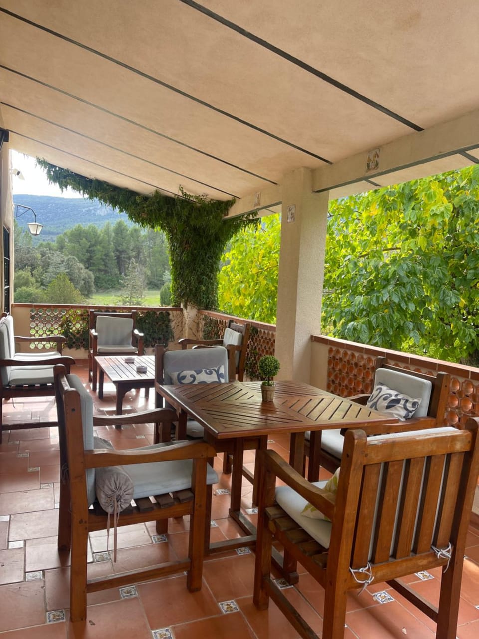 Balcony/Terrace
