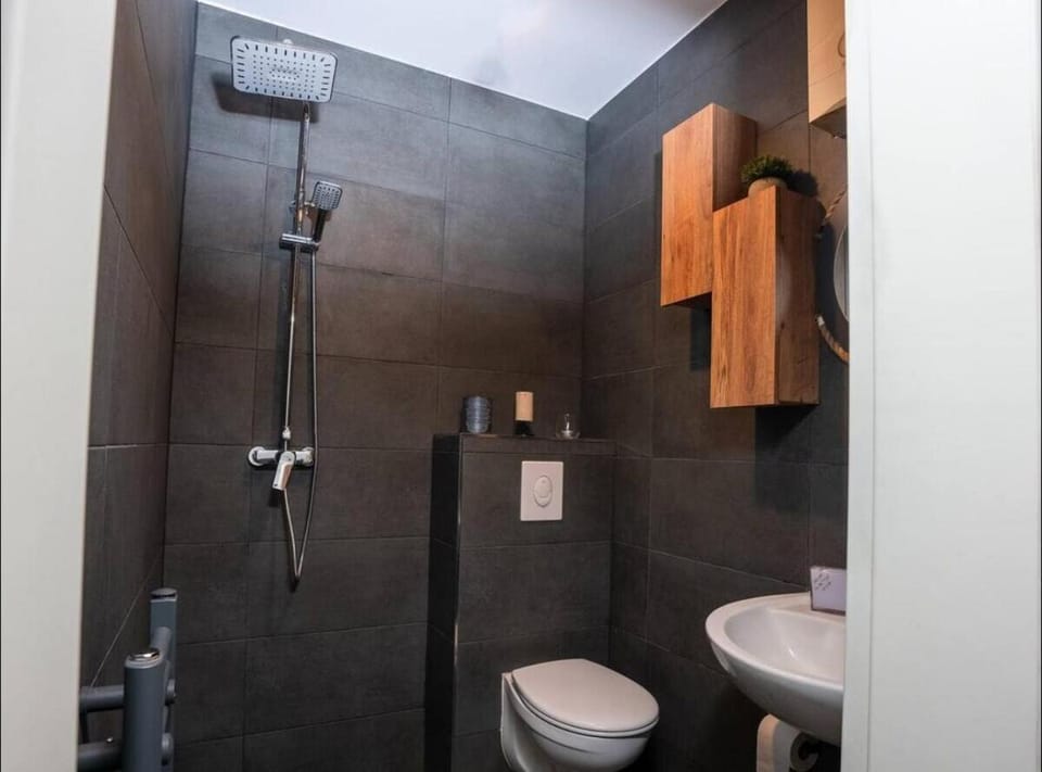 Shower, Toilet, Bathroom, bidet