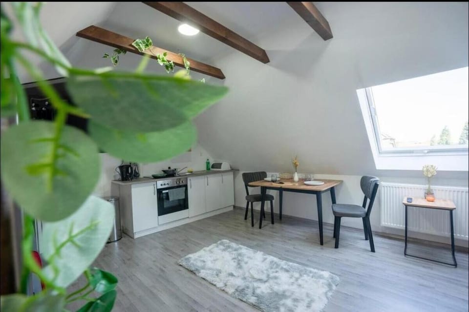 Kitchen or kitchenette, Seating area, Dining area, stove