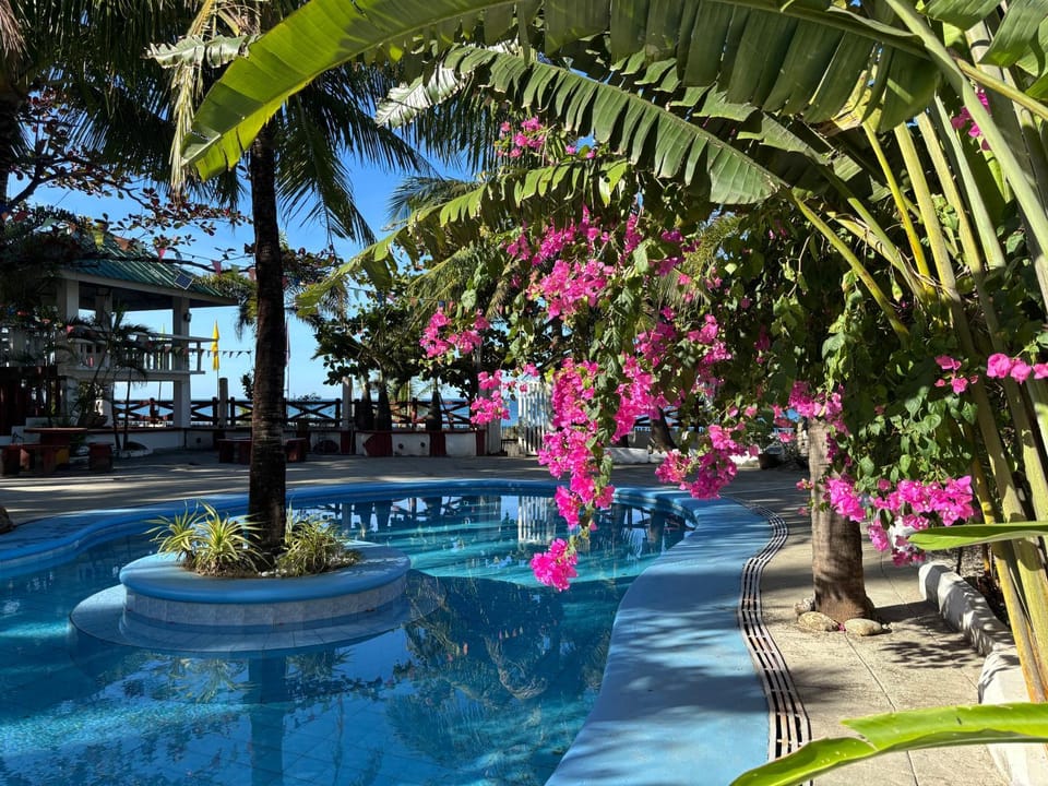 Hollywood Beachfront Bed & Breakfast Bed and Breakfast in Calabarzon