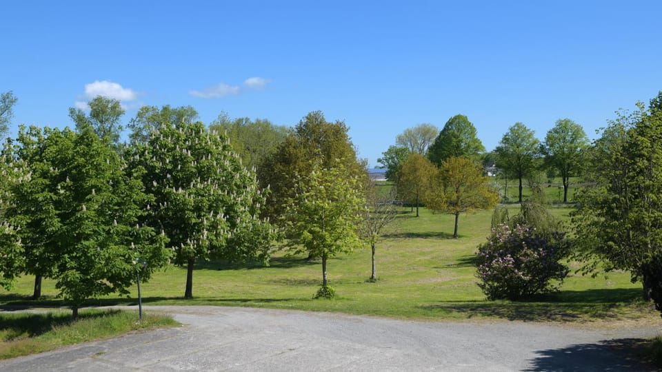 Spring, Day, Natural landscape, Garden