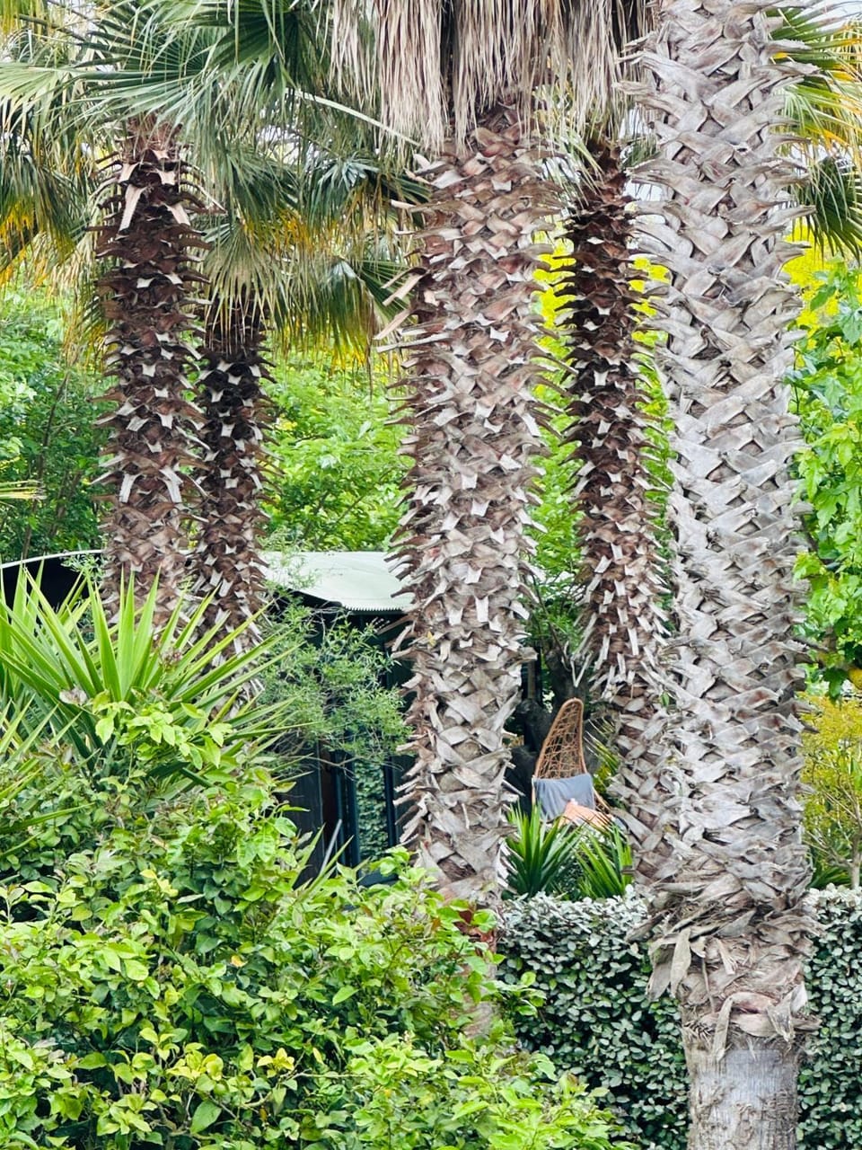 The Green Wagon Costa Brava, Piscina Privada, AC, WIFI, Parking, Terraza Apartment in Maresme