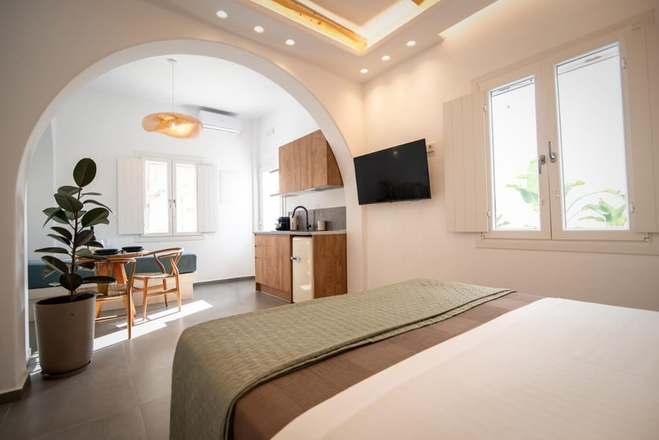 Bed, TV and multimedia, Kitchen or kitchenette, Photo of the whole room, Seating area, Bedroom
