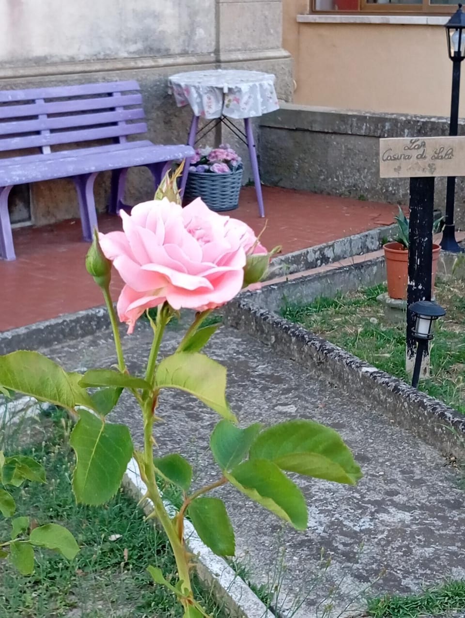 La Casina di Lalu' Apartment in Tuscany