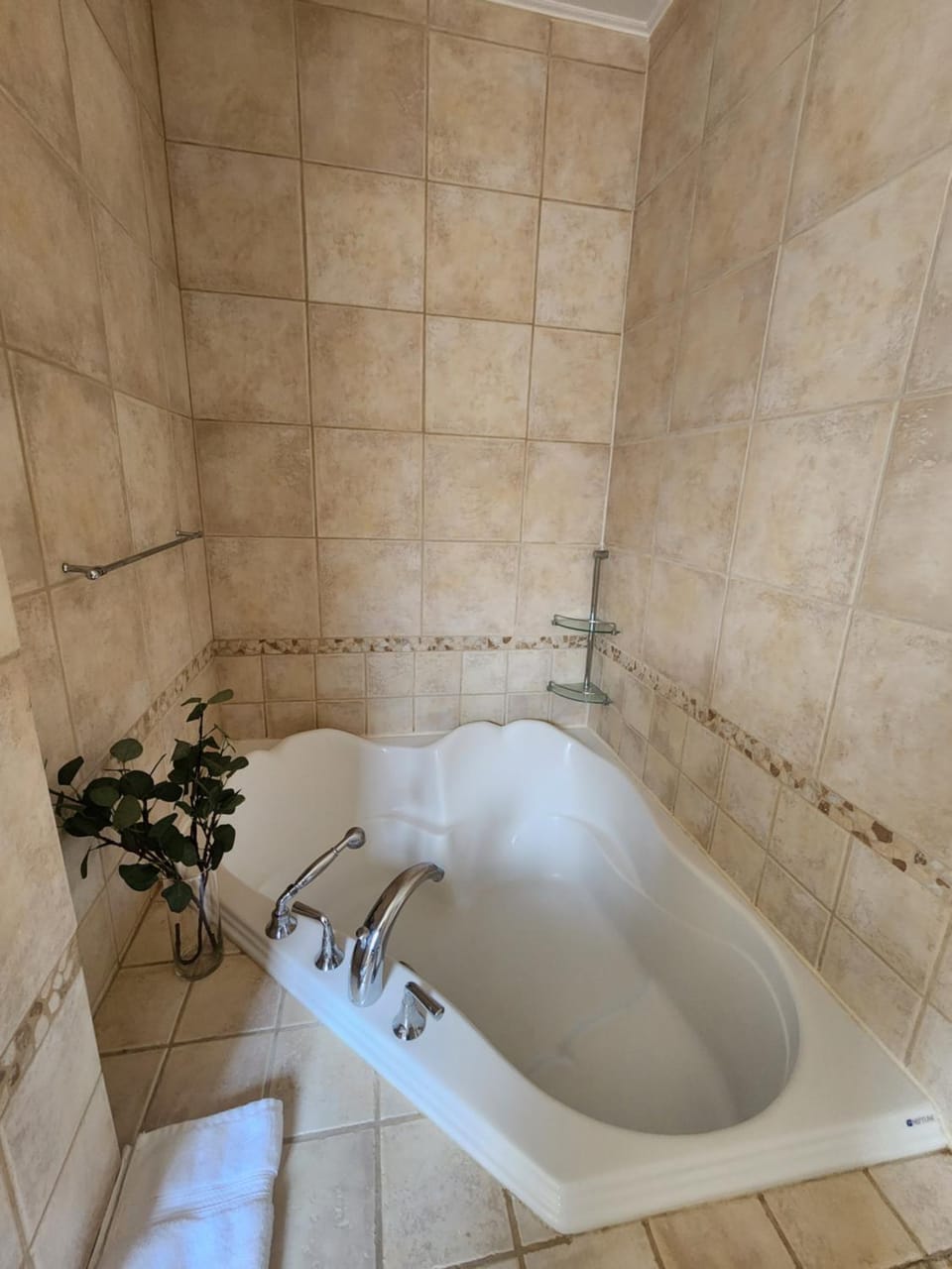 Large & bright 3 bedroom in MTL Apartment in Montreal