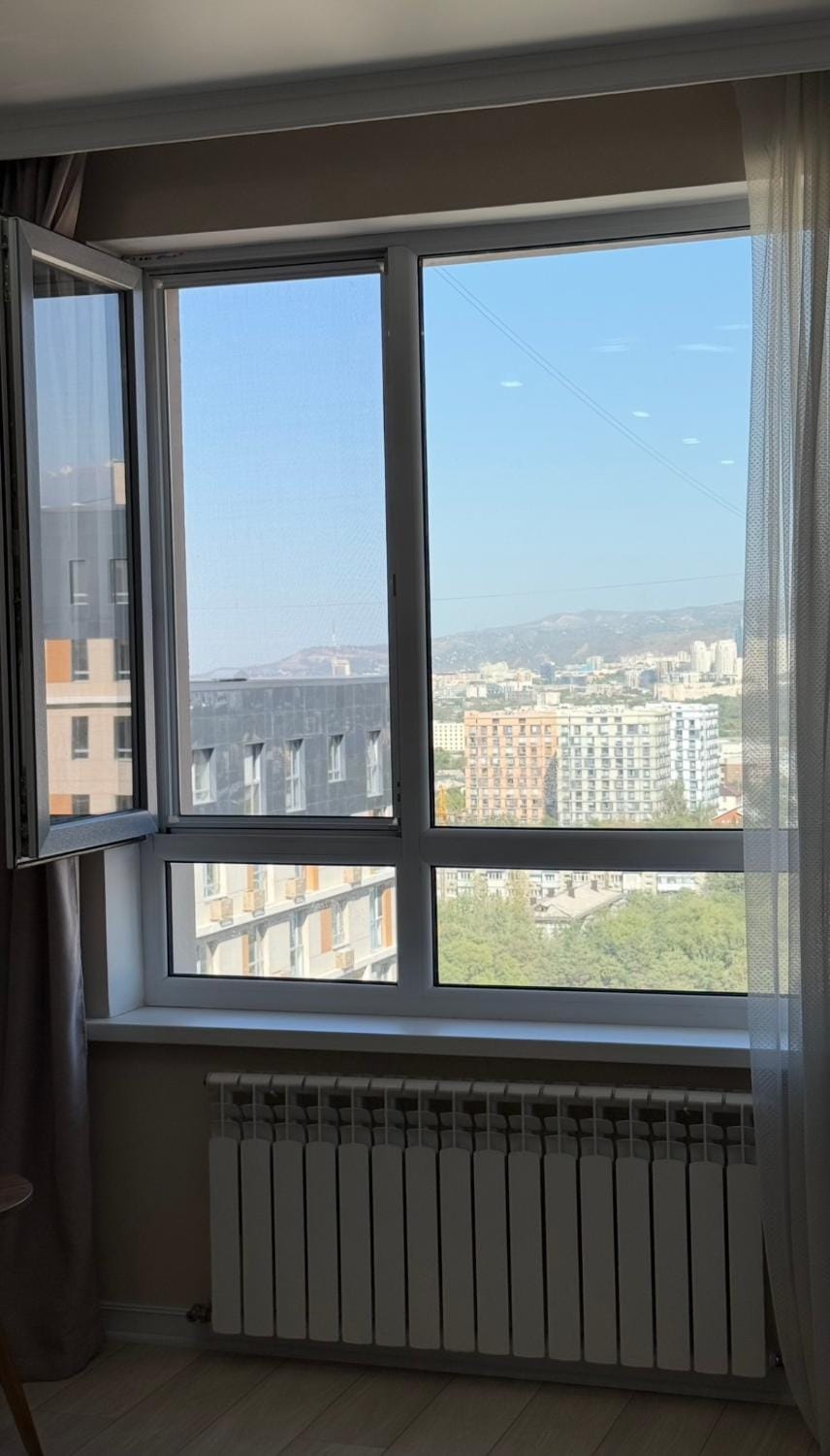 Day, View (from property/room), City view, Mountain view