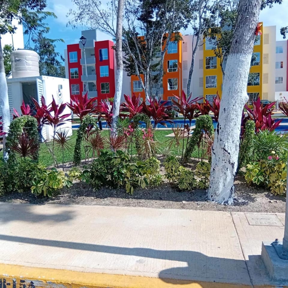 Garden view