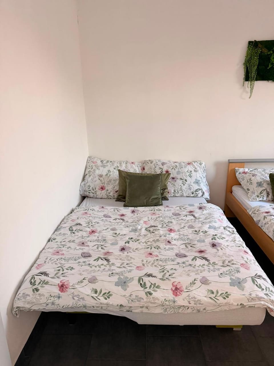 Apartmány KK Apartment in South Moravian Region