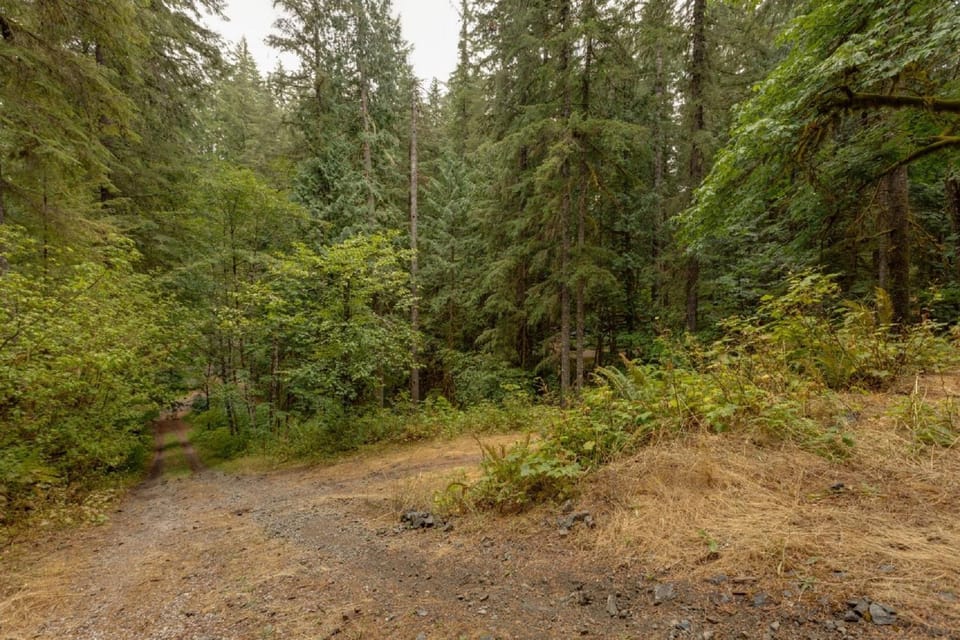 A 3 Story, 3 Bedroom Traditional Rustic Ski and Hiking Chalet House in Glacier