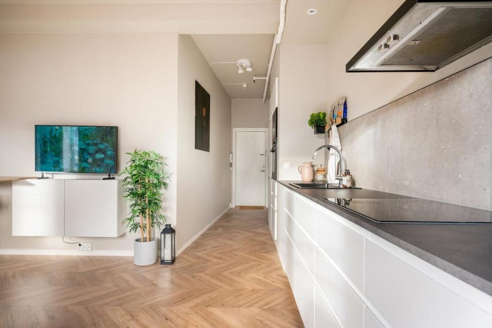 3F - In the heart of Trondheim Apartment in Trondheim