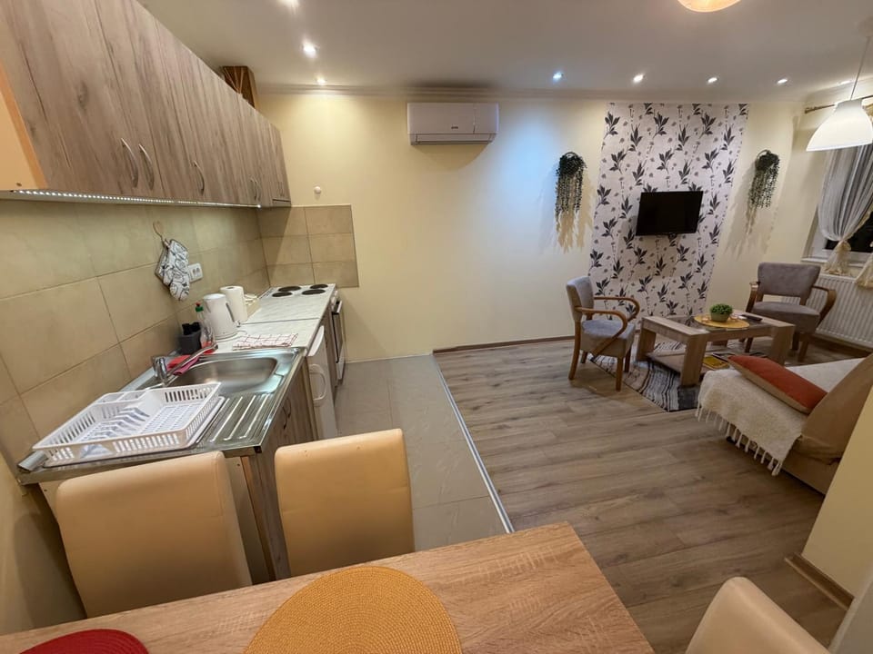 Ravana Sky Apartments Apartment in Zlatibor District, Serbia