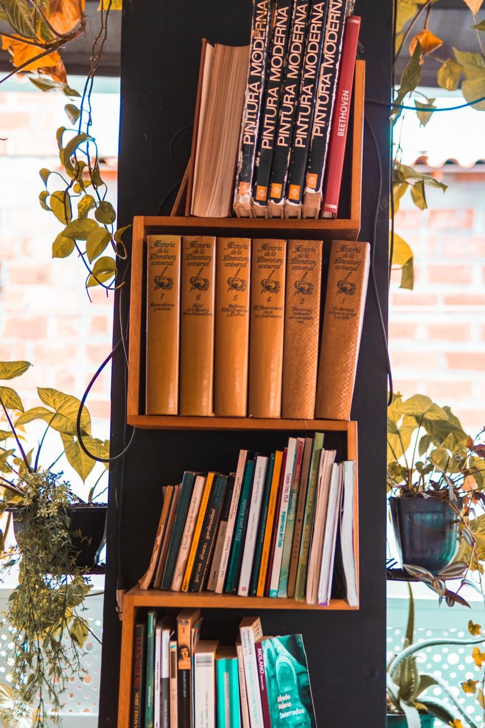 Library
