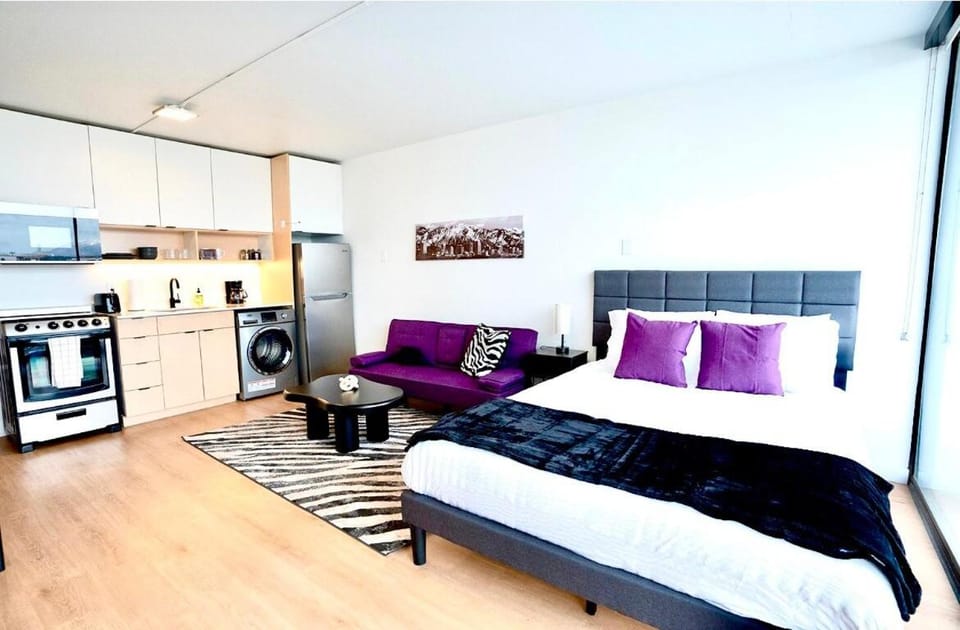 Bed, Kitchen or kitchenette, Living room, Photo of the whole room, Seating area, oven, stove, toaster
