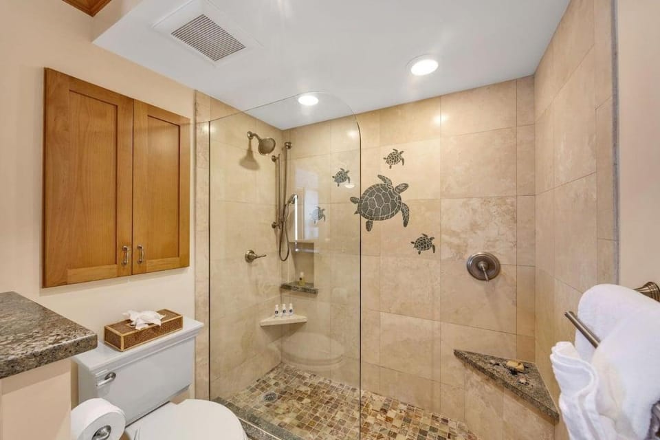 Paki Maui 301 · Direct Oceanfront Views Remodeled 2BD Condo House in Kaanapali
