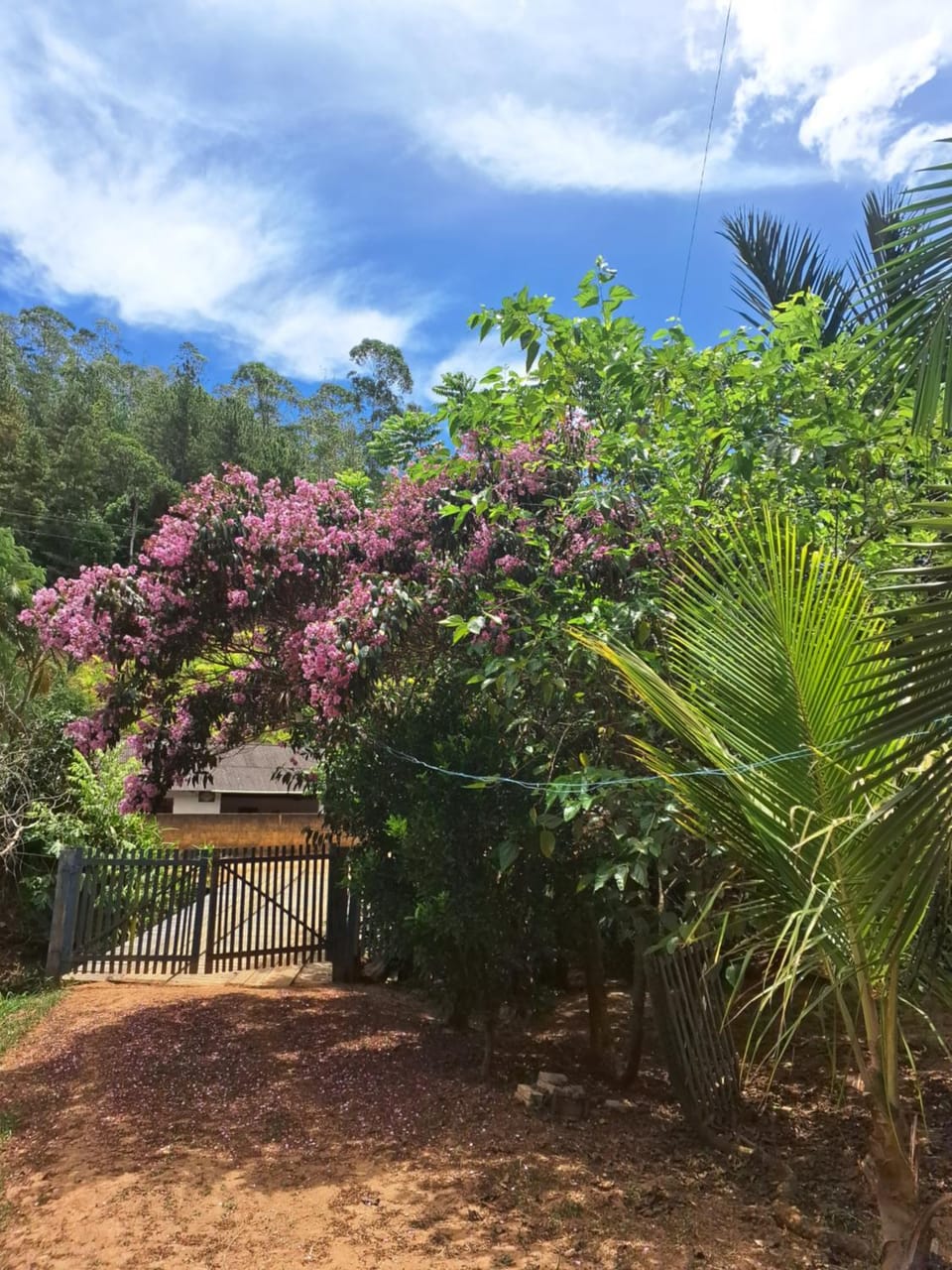 Sítio com Piscina e Pomar em Paraju House in State of Espírito Santo, Brazil