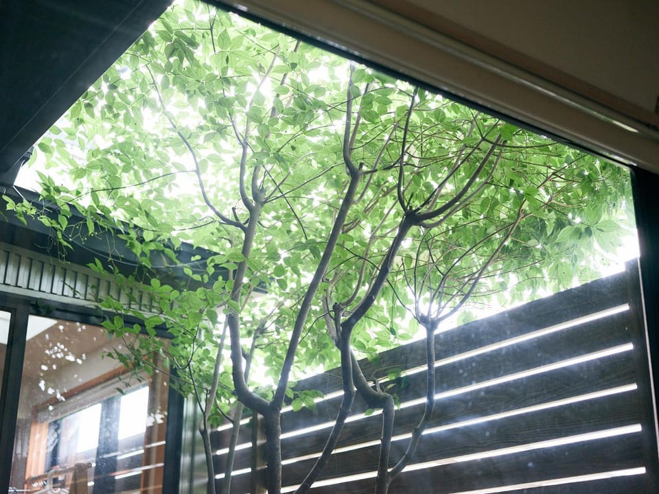 Spring, Day, Garden, Garden, View (from property/room), Garden view, Inner courtyard view