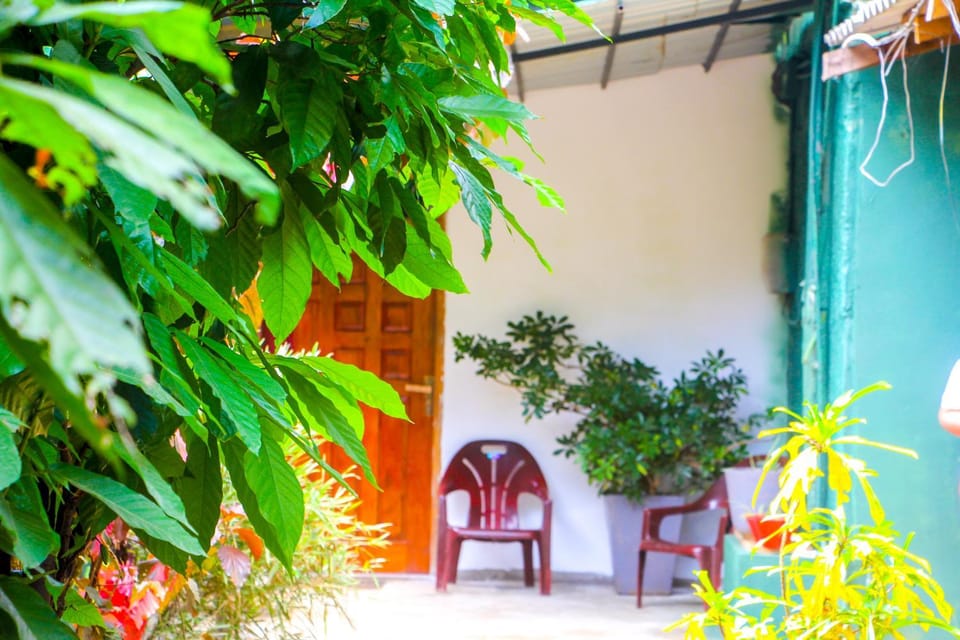 Patio, Spring, Day, Garden, Garden view