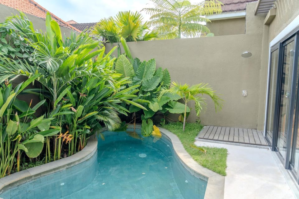 Patio, Day, Garden, Garden view, Pool view, Swimming pool