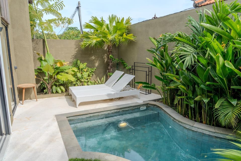 Patio, Day, Garden, Garden view, Pool view, Swimming pool, sunbed
