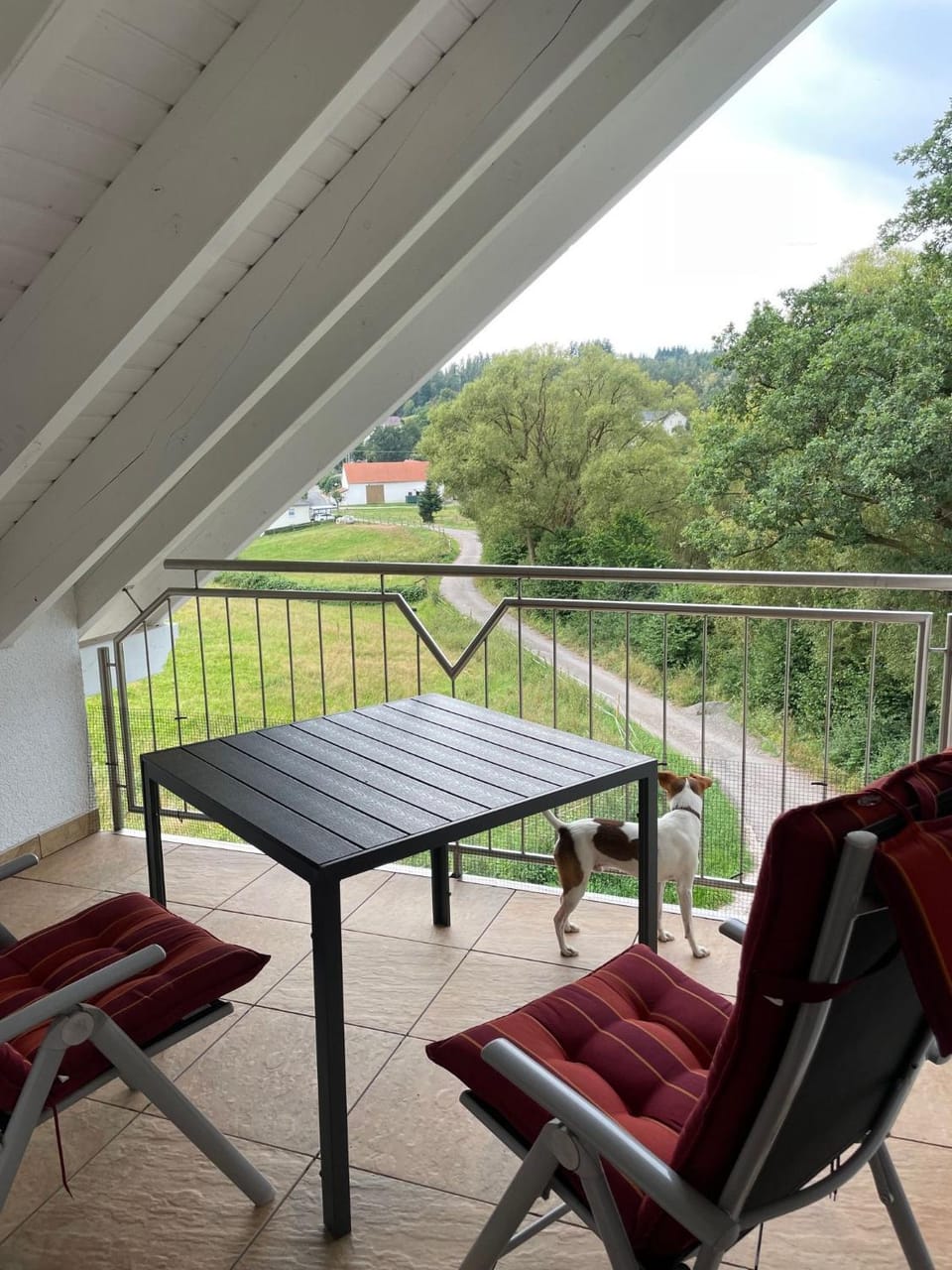 View (from property/room)