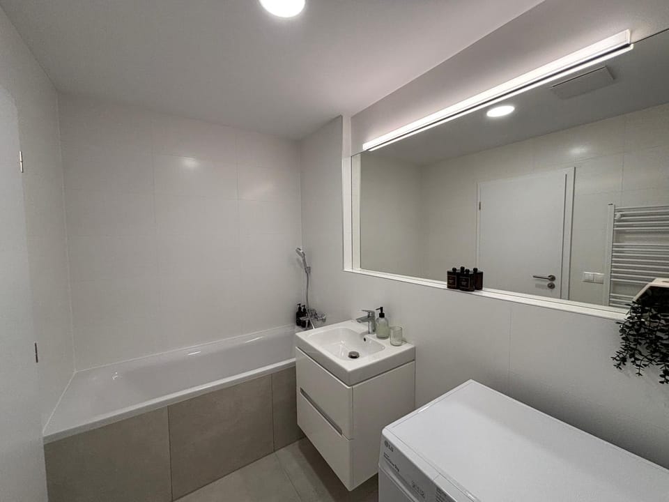 Bathroom, Bath, hair dryier, pet friendly, towels, washing machine, dryer
