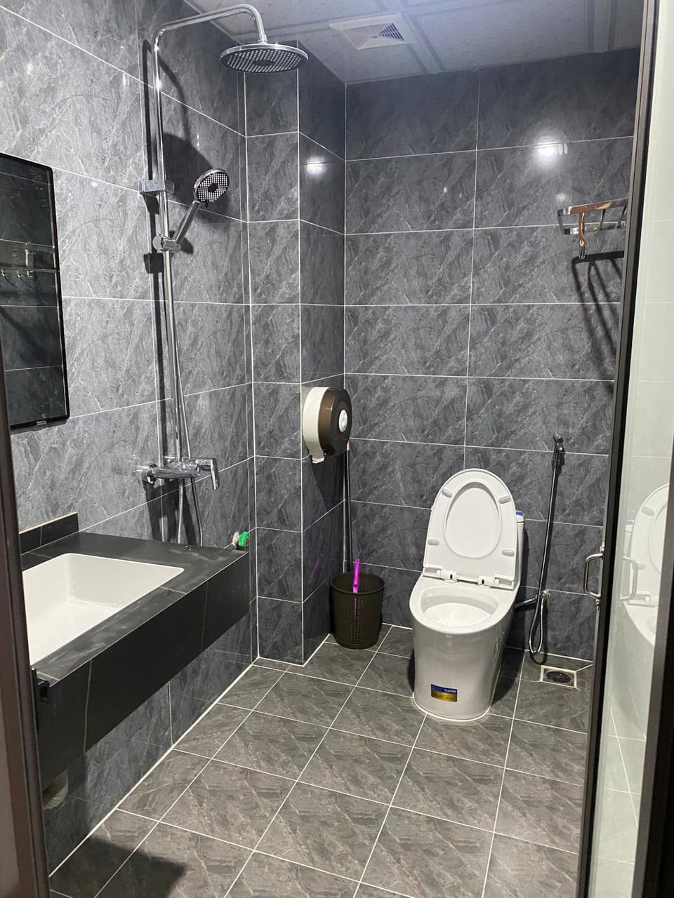 Shower, Toilet, Bathroom, towels