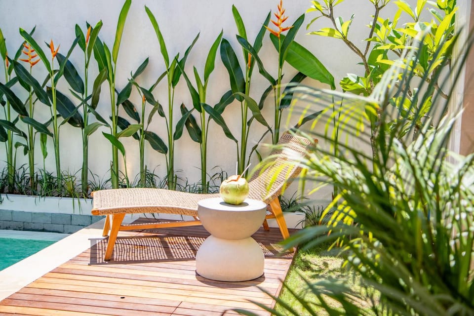 Patio, sunbed