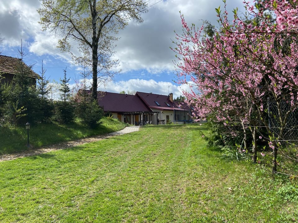 Agroturystyka Jeroniczówka Farm Stay in Masovian Voivodeship