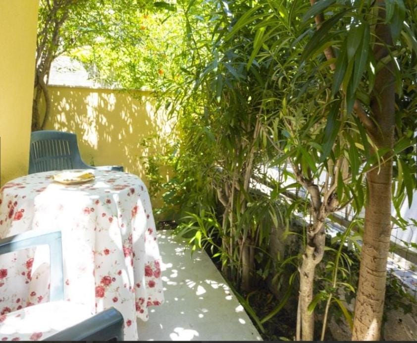 Day, Natural landscape, Garden, Seating area, Garden view