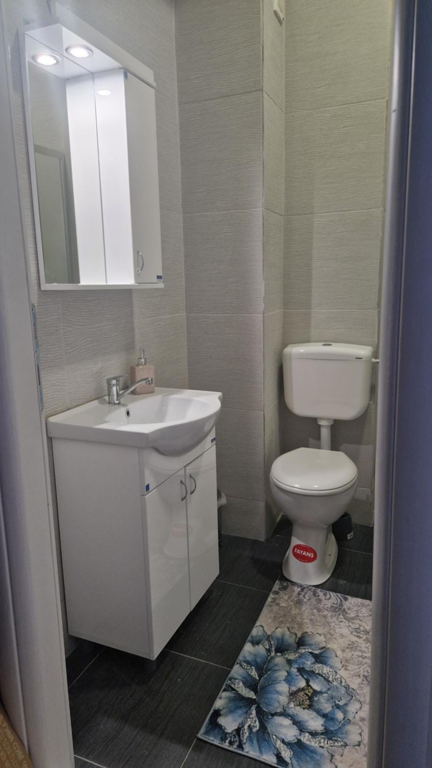 Nina apartments Apartment in Timiș County