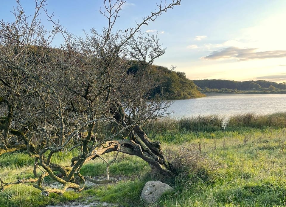 Natural landscape
