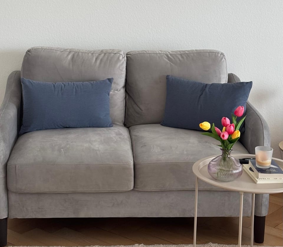 Fribourg Studio Home Apartment in Fribourg