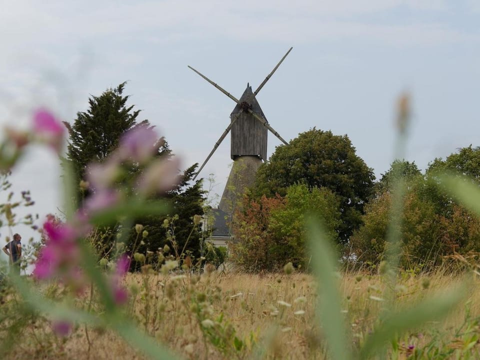 Peace and quiet House in Gennes-Val-de-Loire