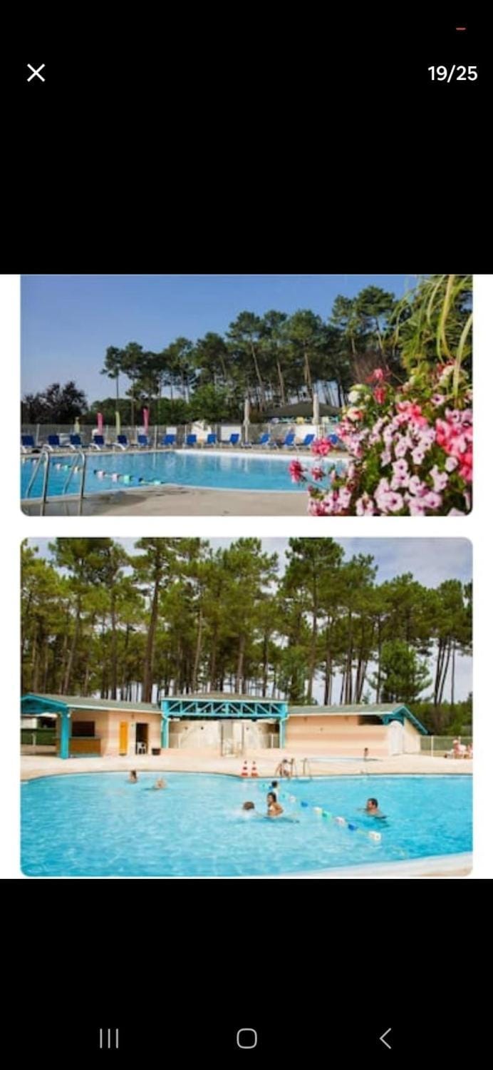 Swimming pool, sunbed