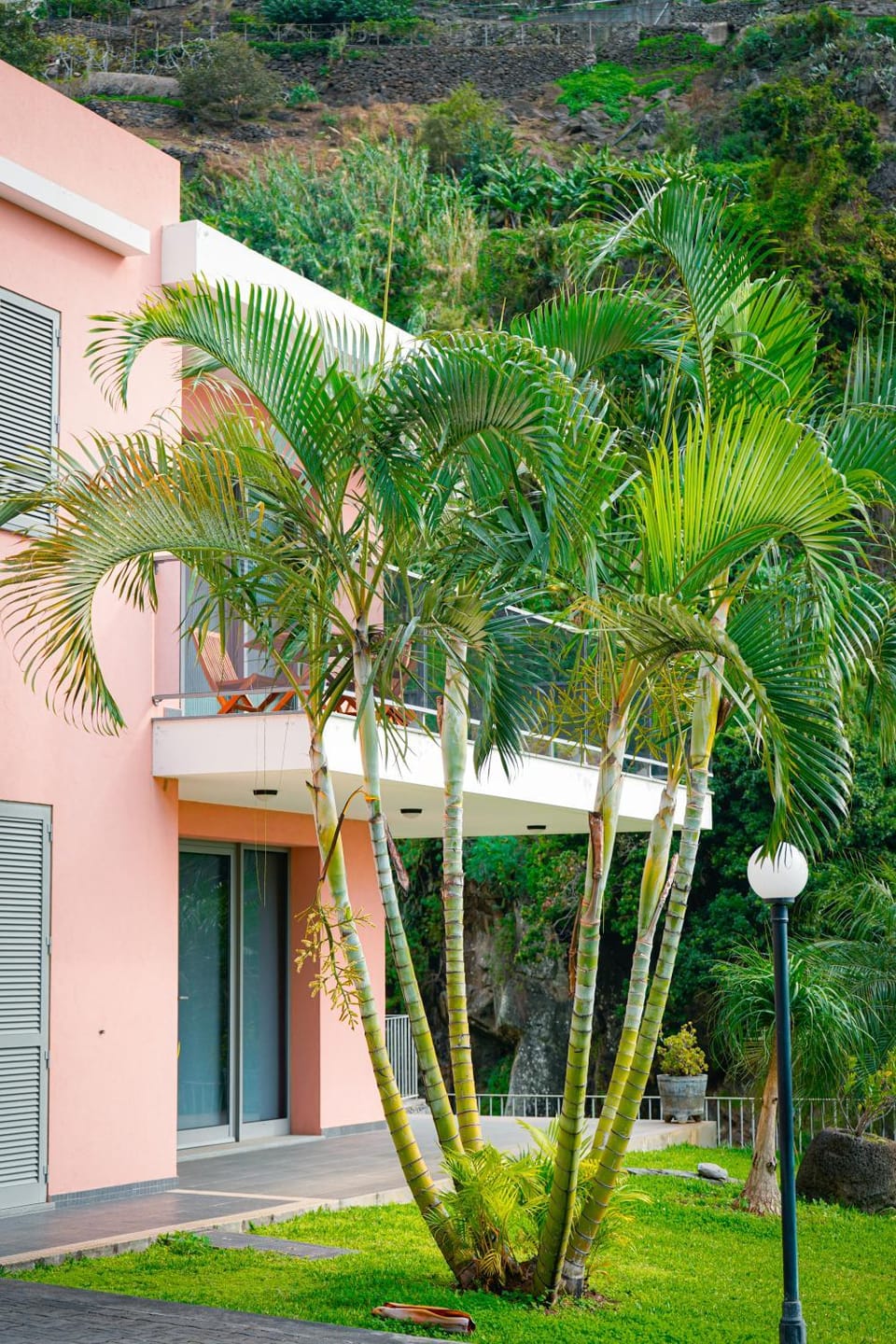 Quinta das Rosas Apartment in Madeira District