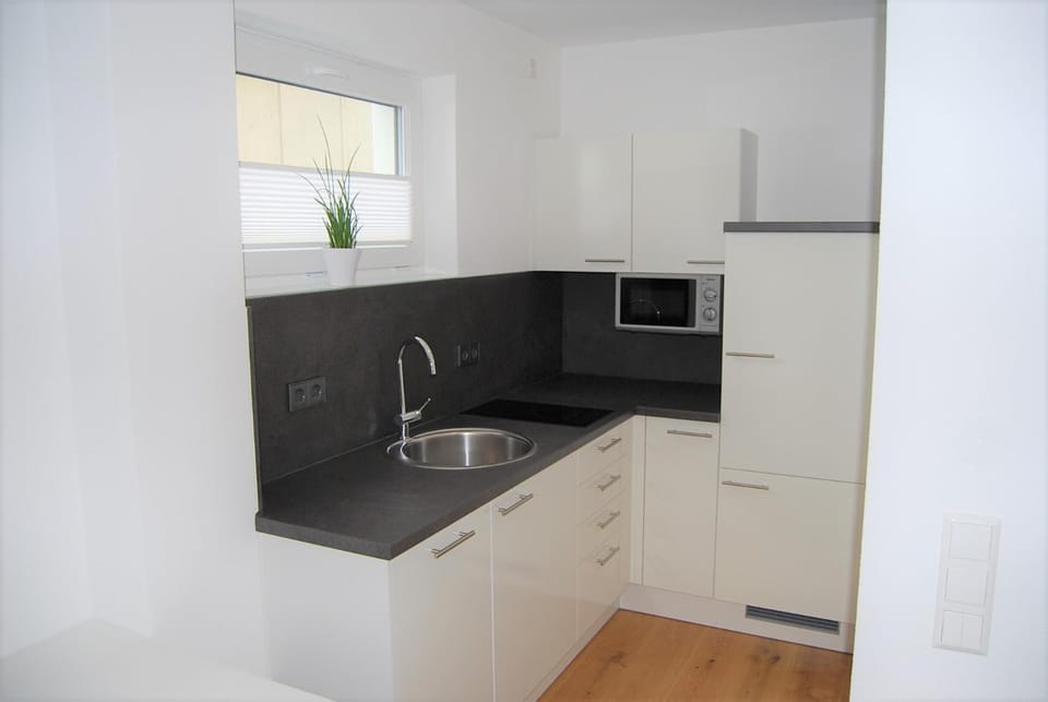 Kitchen or kitchenette, dishwasher, stove