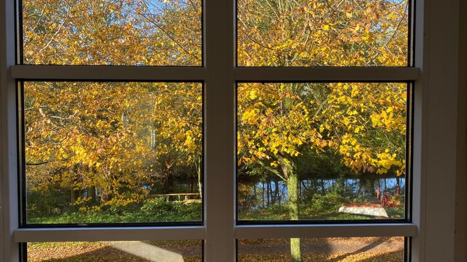 View (from property/room), Quiet street view