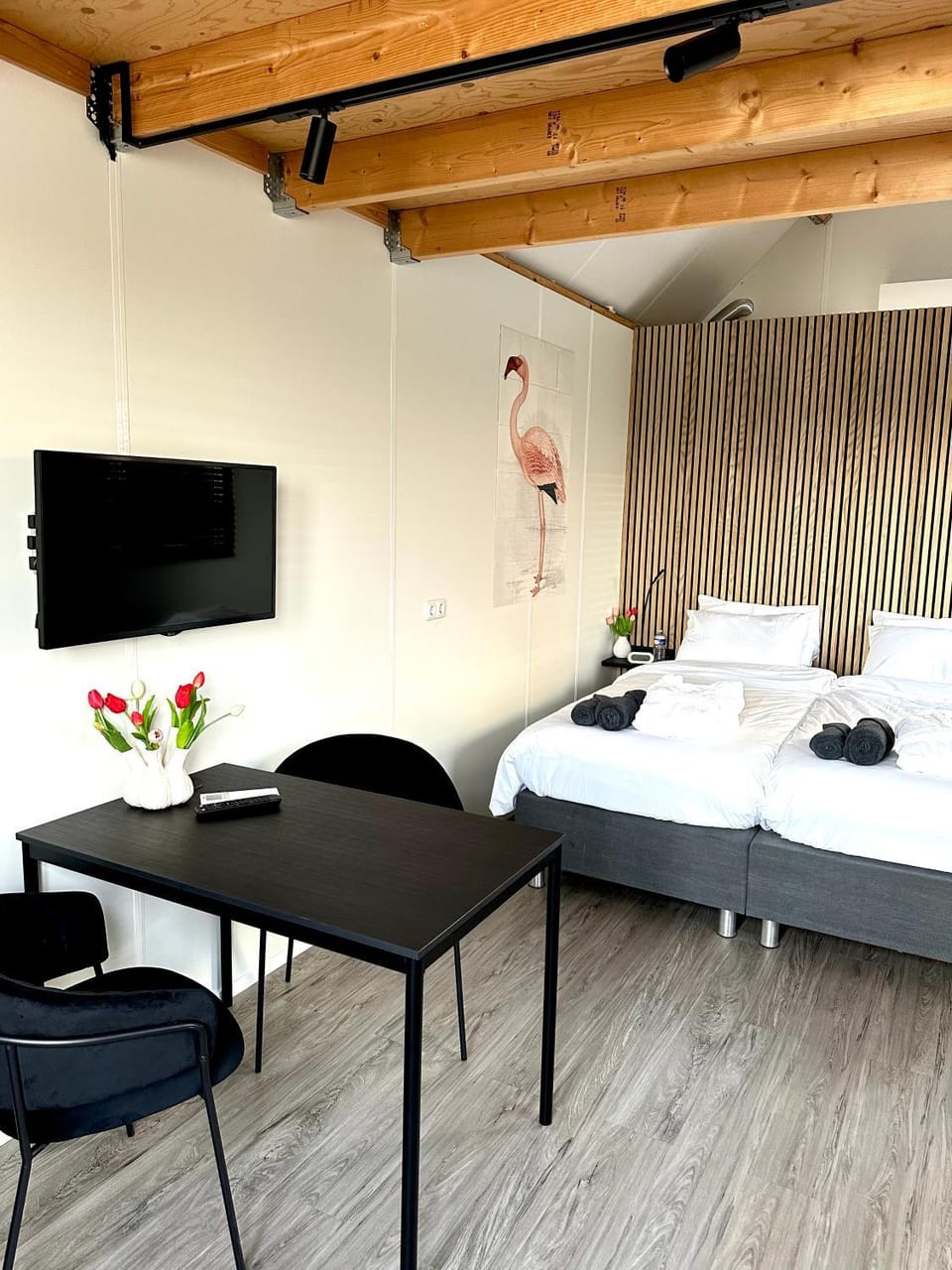 Bed, TV and multimedia