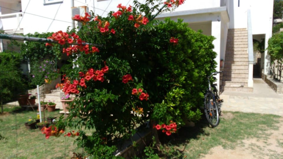 Facade/entrance, Garden, Garden view