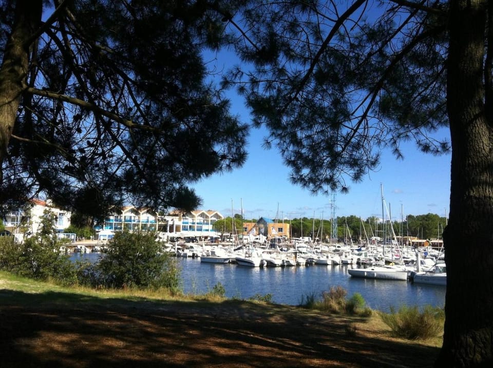 Lake view