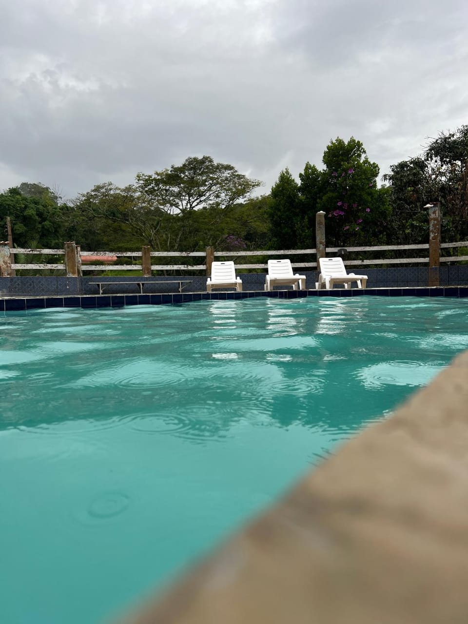 Swimming pool, Swimming pool