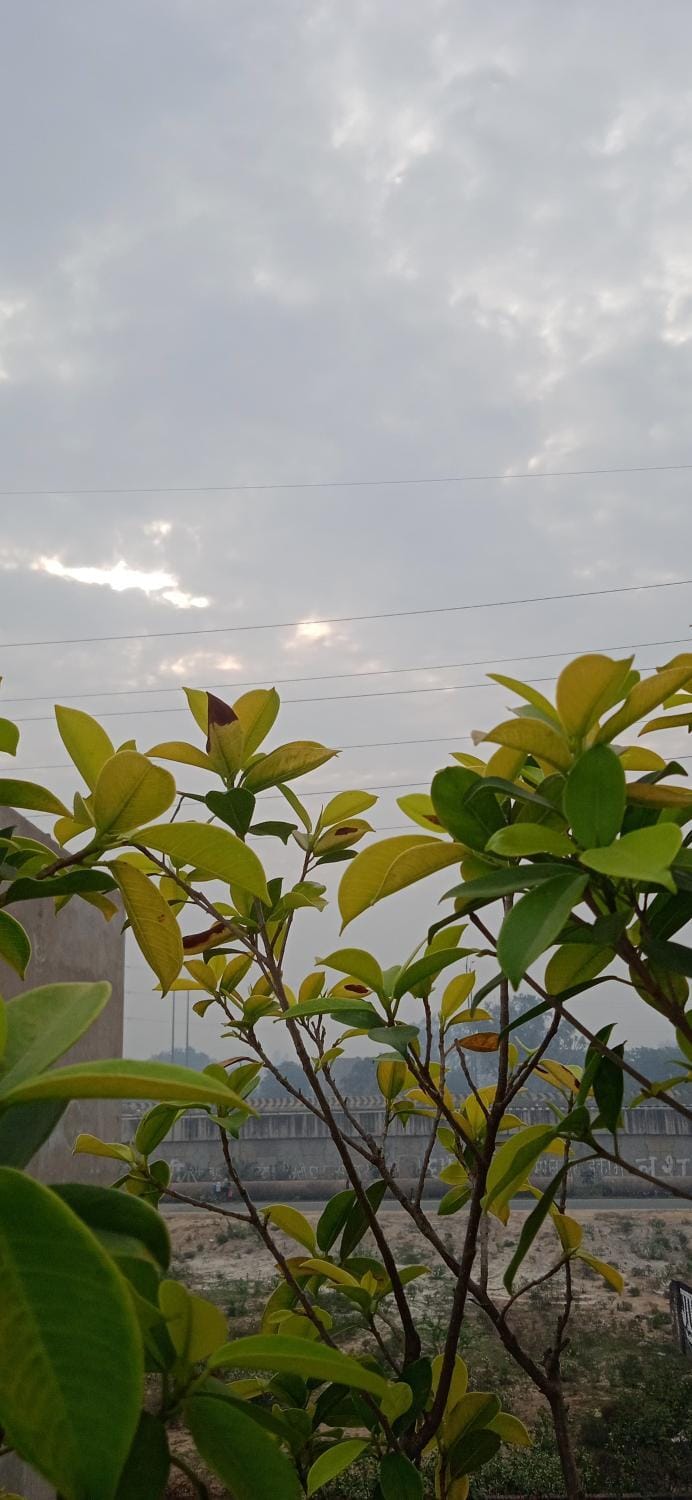 Natural landscape, Balcony/Terrace