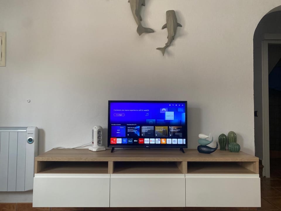 TV and multimedia