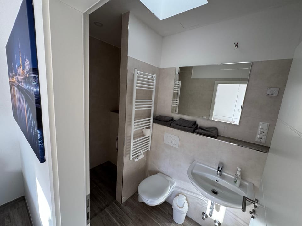 Shower, Toilet, Bathroom, towels
