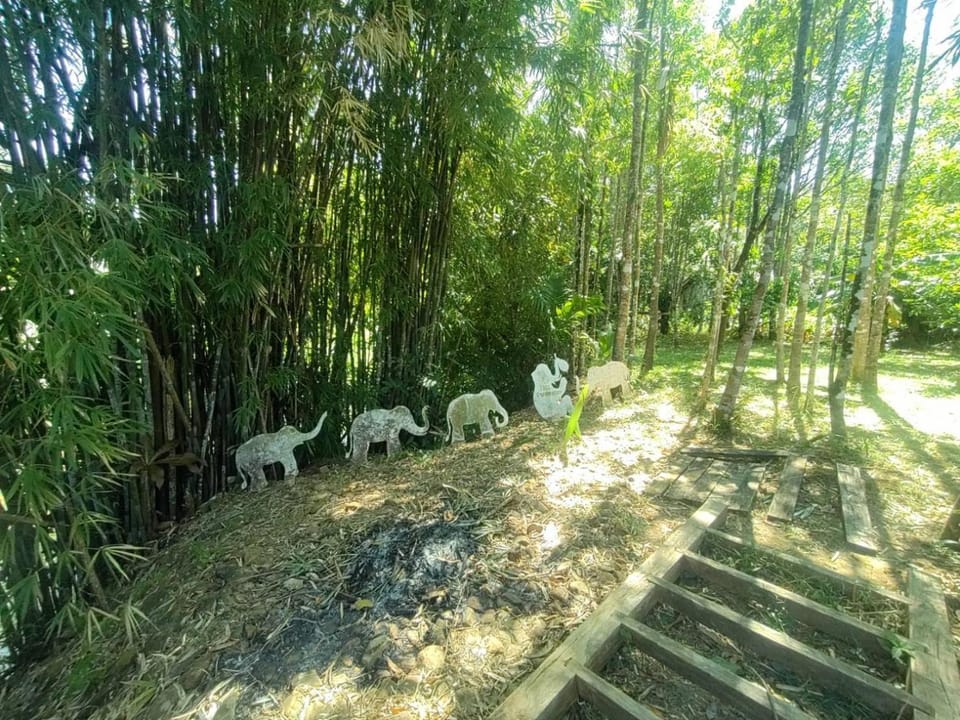 Natural landscape