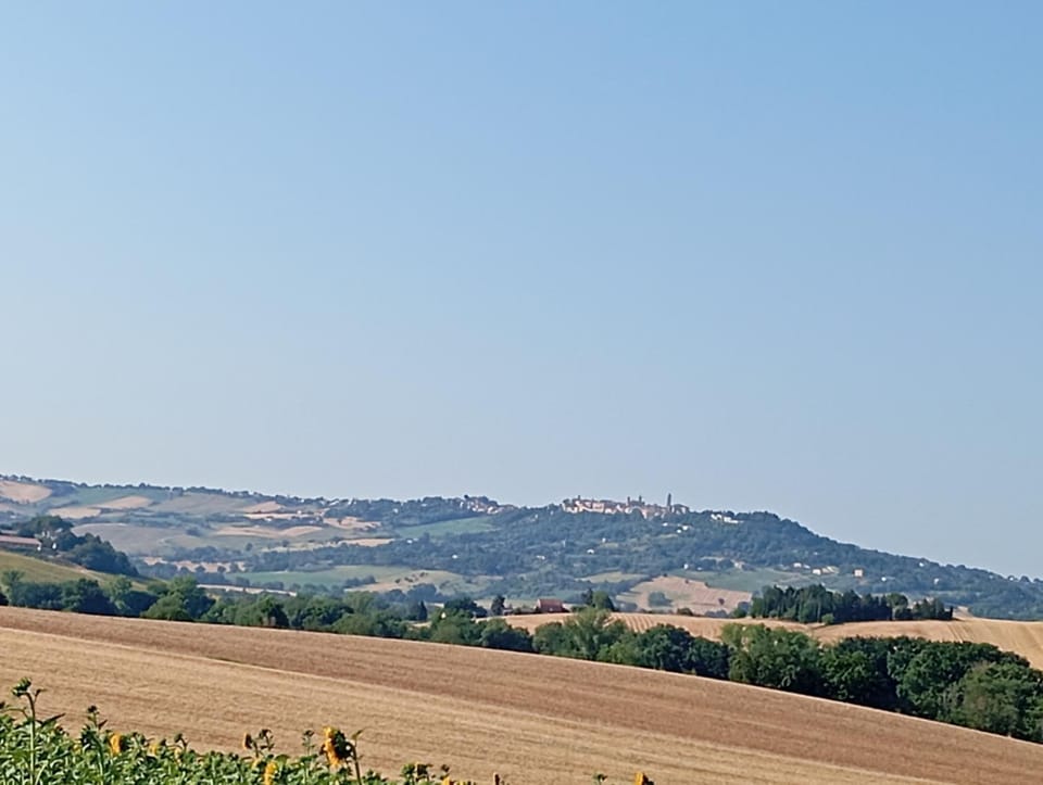 Natural landscape